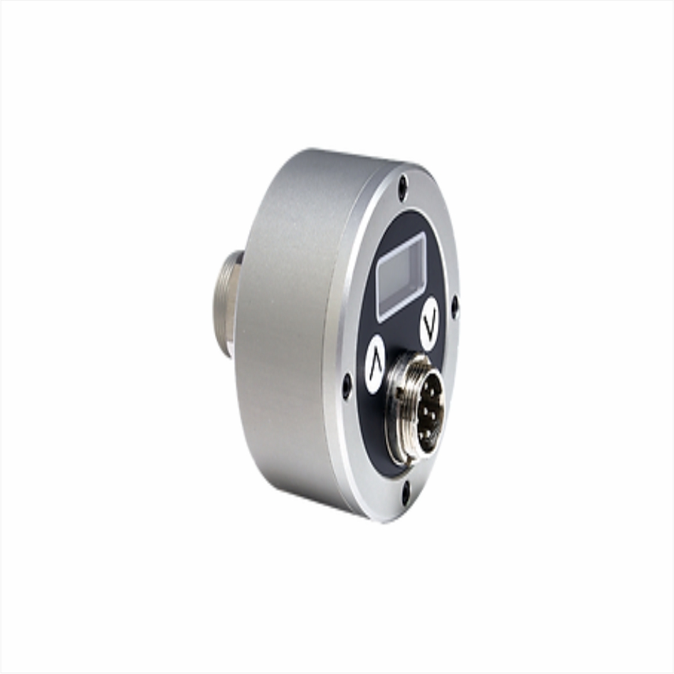 NS11 圓餅形/LCD顯示在線式